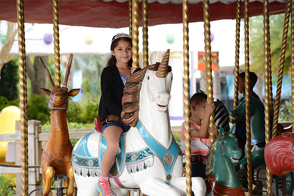 The Enchanted Carousel