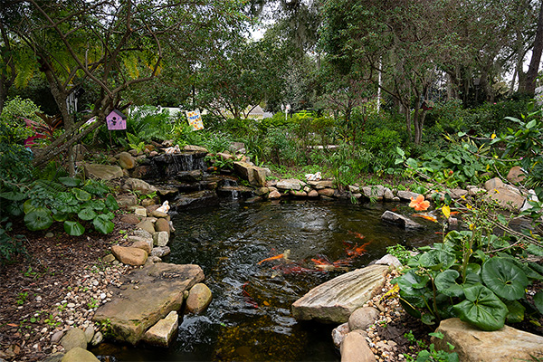 Miss Pitty Pat's Garden of Hope