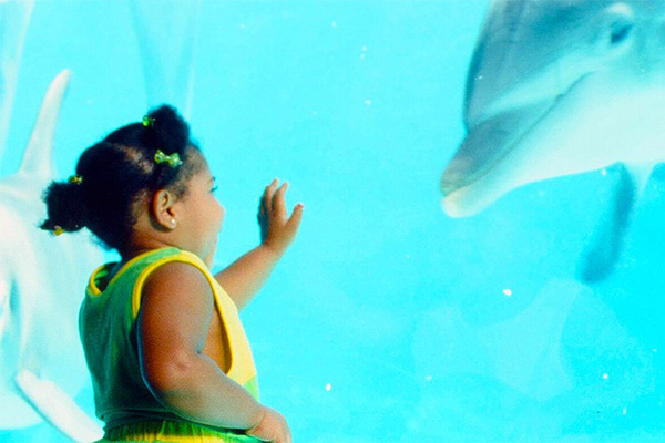 Wish child at SeaWorld Orlando